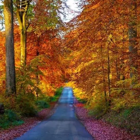 Rum i privatbostad Wisteria *