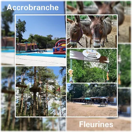 Accommodatie bij particulieren Wisteria *